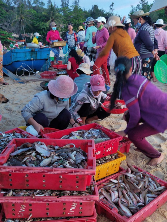 Có một Phú Yên như của ngày xưa - Ảnh 5.