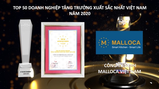 Malloca vào Top 50 doanh nghiệp tăng trưởng xuất sắc nhất Việt Nam năm 2020 - Ảnh 1.