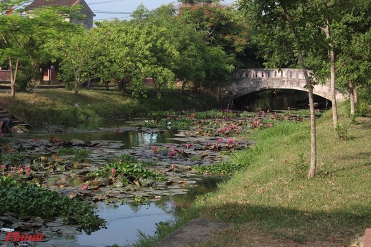 Về cầu ngói Thanh Toàn ghé cháo lòng mệ Tươi - Ảnh 1.