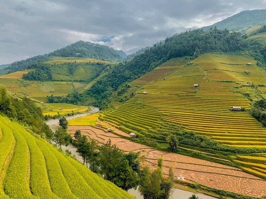 3 ngày vi vu mùa vàng Mù Cang Chải - Ảnh 8.