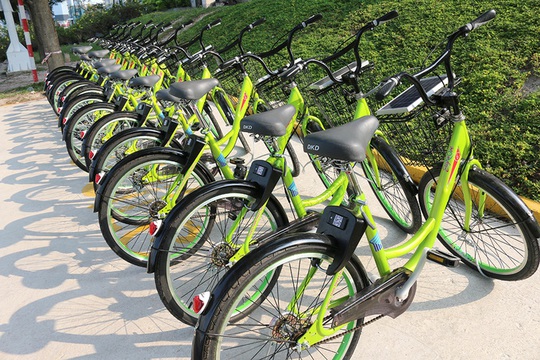 Đề xuất cho Công ty Trí Nam triển khai xe đạp công cộng ở trung tâm TP HCM - Ảnh 1.