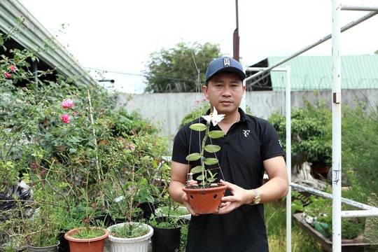 Phạm Thăng Bằng và gia sản lan rừng của chàng trai phố núi - Ảnh 2.