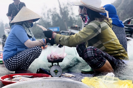 Loài cá làm thức ăn cho heo thành đặc sản ngày lạnh, ngư dân trúng đậm đầu năm - Ảnh 4.