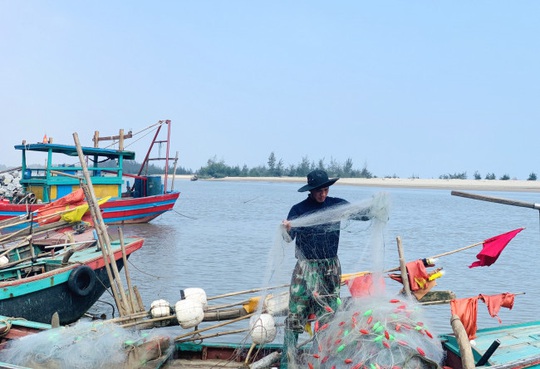 Loài cá làm thức ăn cho heo thành đặc sản ngày lạnh, ngư dân trúng đậm đầu năm - Ảnh 1.