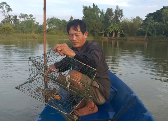  Ngày Tết, cua biển ngon nhất miền Tây giá 1 triệu đồng/kg - Ảnh 2.