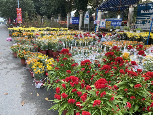28 Tết, người bán hoa Tết ở TP HCM muốn khóc sau trận mưa bất ngờ - Ảnh 1.