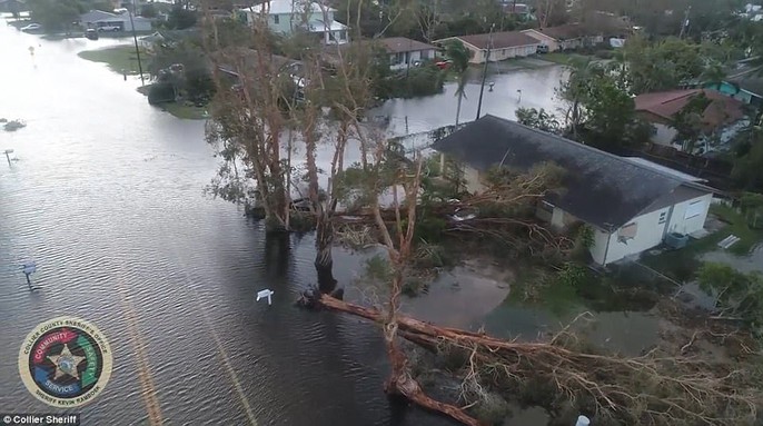 Mỹ: Florida bị tắt công tắc điện trên toàn bang - Ảnh 12. Mỹ: Florida bị tắt công tắc điện trên toàn bang - Ảnh 12.