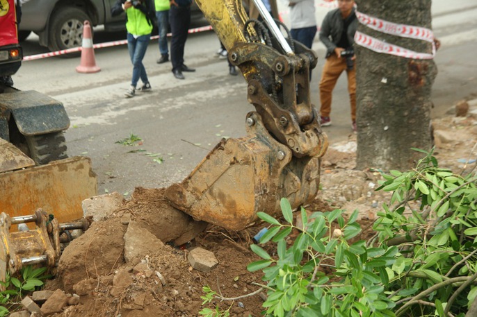 Bắt đầu chặt hạ gần 1.300 cây xanh trên đường Phạm Văn Đồng - Ảnh 9. Bắt đầu chặt hạ gần 1.300 cây xanh trên đường Phạm Văn Đồng - Ảnh 9.