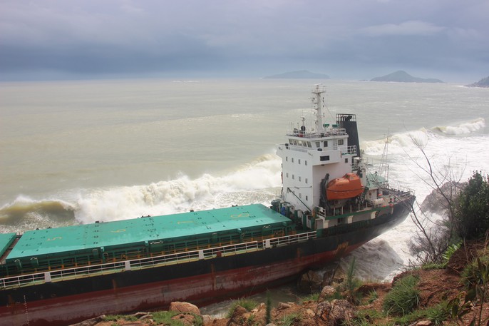 Không được vào cảng, hàng loạt tàu chìm, thuyền viên chết - Ảnh 1. Không được vào cảng, hàng loạt tàu chìm, thuyền viên chết - Ảnh 1.