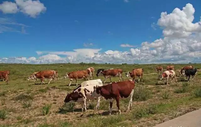 Thán phục trước cách làm nông nghiệp sạch lạ đời của người Nhật - Ảnh 2. Thán phục trước cách làm nông nghiệp sạch lạ đời của người Nhật - Ảnh 2.