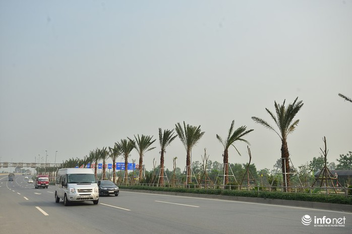 Những ngày gần đây, người dân có nhu cầu đi lại trên Đại lộ Võ Nguyên Giáp (tuyến đường dẫn từ trung tâm thành phố Hà Nội ra Cảng hàng không Quốc tế Nội Bài) không khỏi bất ngờ bởi hàng cây được trồng thẳng tắp.