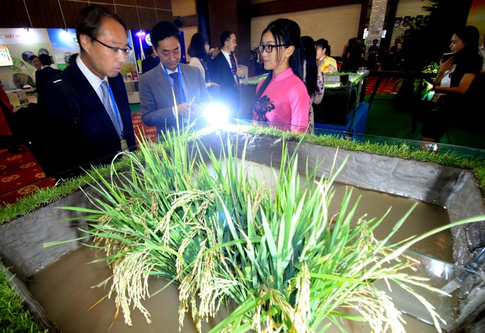 Ngắm những mô hình nông nghiệp độc đáo của Việt Nam tại APEC - Ảnh 3.