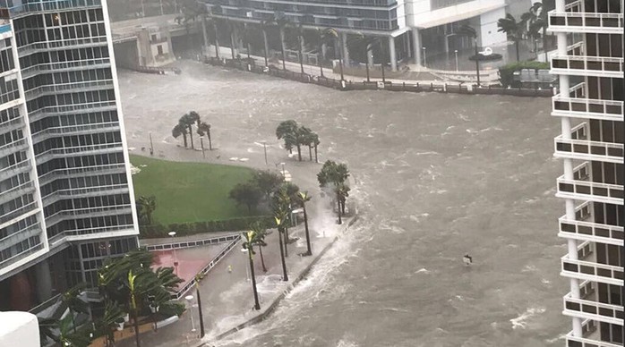 
Nhiều khu vực ở bang Florida ngập trong nước. Ảnh: TWITTER
