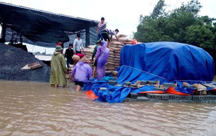 Bão số 10 quật đổ ăng-ten truyền hình-phát thanh cao 100 m - Ảnh 22.