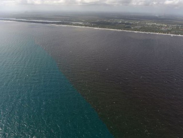 Bão Irma tan từ lâu, biển Florida vẫn chưa đổi lại màu - Ảnh 2.