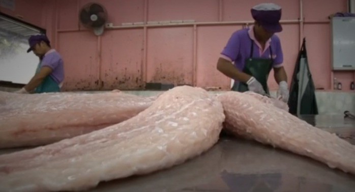 Vì sao thịt cá sấu “cháy hàng” ở Thái Lan? - Ảnh 12. Vì sao thịt cá sấu “cháy hàng” ở Thái Lan? - Ảnh 12.