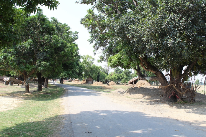 Đi chân đất ở Lumbini - Ảnh 14. Đi chân đất ở Lumbini - Ảnh 14.
