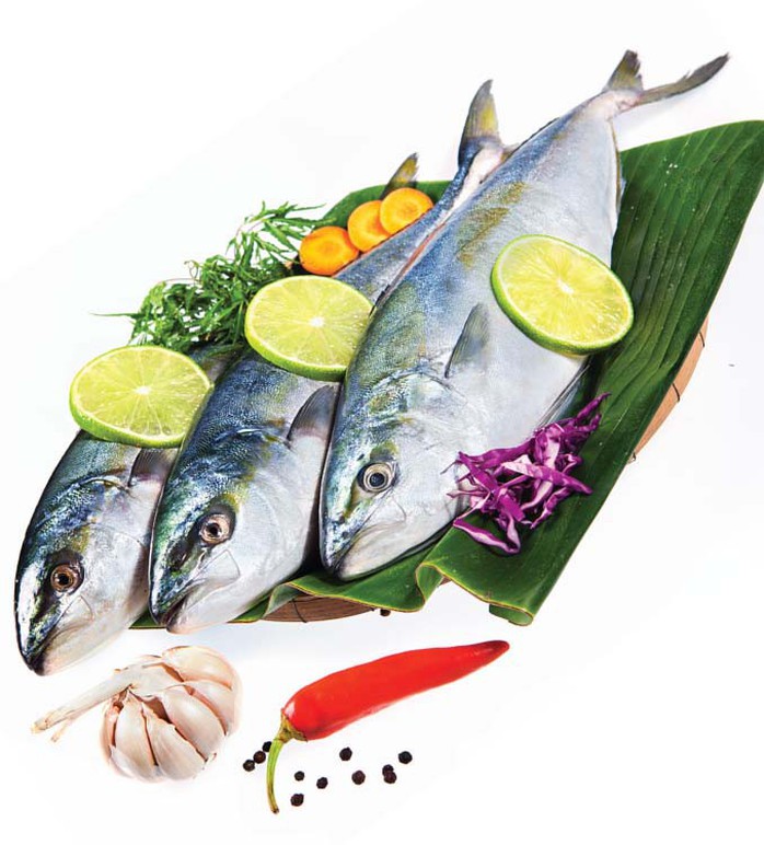 Dẻo thơm cá cam cuốn sushi - Ảnh 2. Dẻo thơm cá cam cuốn sushi - Ảnh 2.