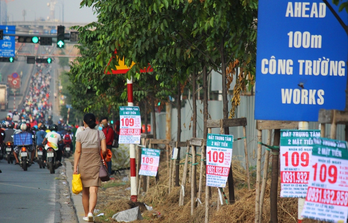 
Tương tự, xa lộ Hà Nội cũng thảm hại không kém bởi hầu hết các thân cây, cột điện, biển báo đều được đính kèm băng rôn nhìn hoa cả mắt.
