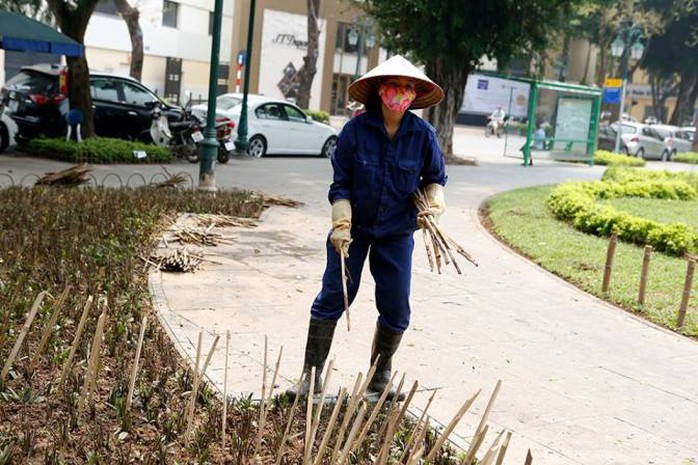 
Công nhân gỡ bỏ số cọc tre sắc nhọn
