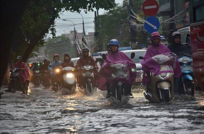 Sau đợt nắng nóng kỷ lục, Hà Nội mưa gió giông lốc đổ cây - Ảnh 5.