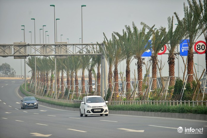 Hàng cây được trồng trên dải phân cách giữa đường giúp các phương tiện di chuyển vào buổi tối không bị chói mắt bởi ánh đèn pha của xe đi ngược chiều.