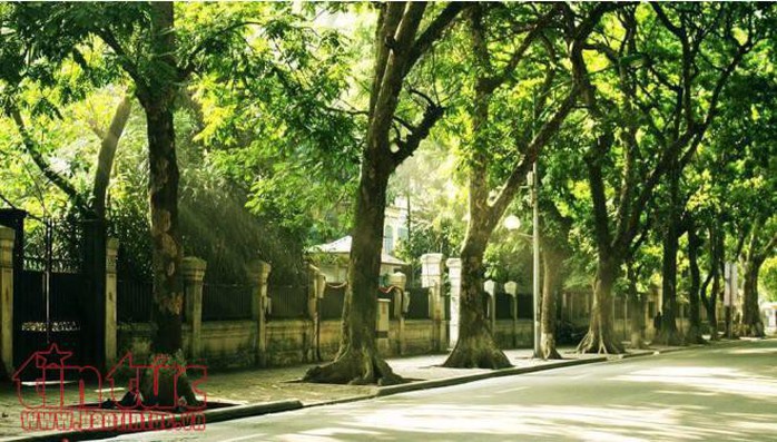 Những khoảnh khắc Hà Nội đẹp tĩnh lặng - Ảnh 2. Những khoảnh khắc Hà Nội đẹp tĩnh lặng - Ảnh 2.