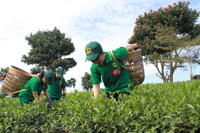 Festival hoa Đà Lạt 2017 du khách sẽ có dịp Phiêu du xứ Bảo - Ảnh 6.