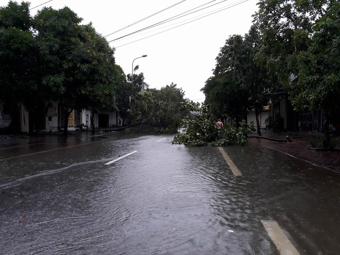 Bão số 2 vào đất liền: Cây đổ, mất điện, nhà tốc mái - Ảnh 5.