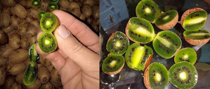 Chị em tranh mua kiwi tí hon 1 triệu/kg - Ảnh 4.