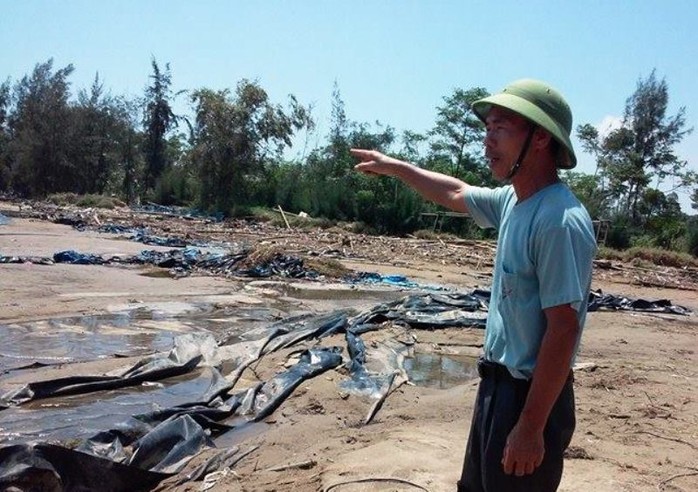 Báo cáo Thủ tướng, Thanh Hóa ước tính thiệt hại 980 tỉ đồng do bão - Ảnh 4.