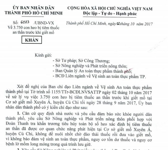 Tiêu hủy heo bị tiêm thuốc an thần, công khai thương lái - Ảnh 1.