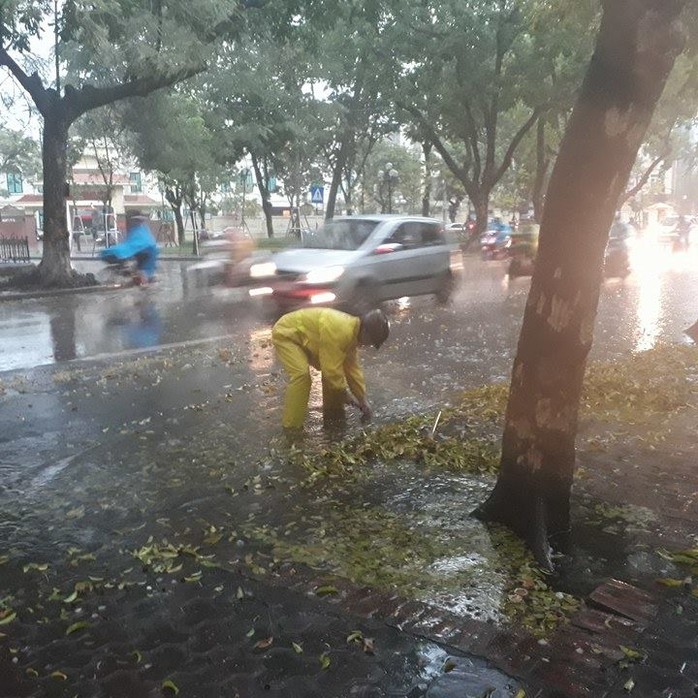 Sau đợt nắng nóng kỷ lục, Hà Nội mưa gió giông lốc đổ cây - Ảnh 6.