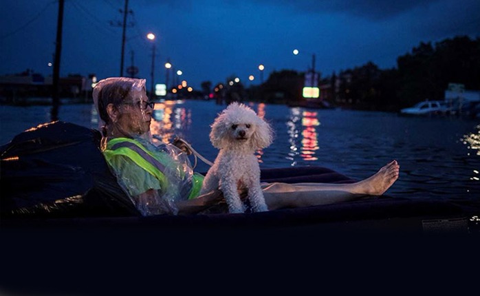 Mỹ: “Đảo kiến lửa” xuất hiện trong bão Harvey - Ảnh 6.