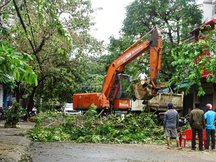 Bão số 12: Phú Yên đề nghị hỗ trợ 300 tấn gạo cứu đói khẩn cấp - Ảnh 5.