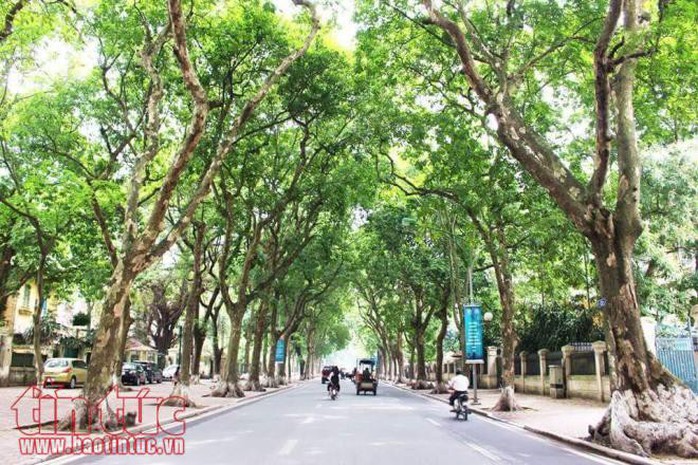 Những khoảnh khắc Hà Nội đẹp tĩnh lặng - Ảnh 3. Những khoảnh khắc Hà Nội đẹp tĩnh lặng - Ảnh 3.