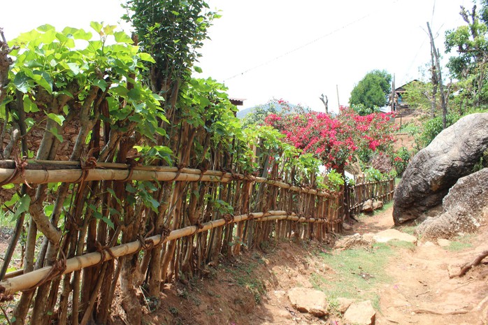 Cuốc bộ và quá giang ở Nepal - Ảnh 4. Cuốc bộ và quá giang ở Nepal - Ảnh 4.