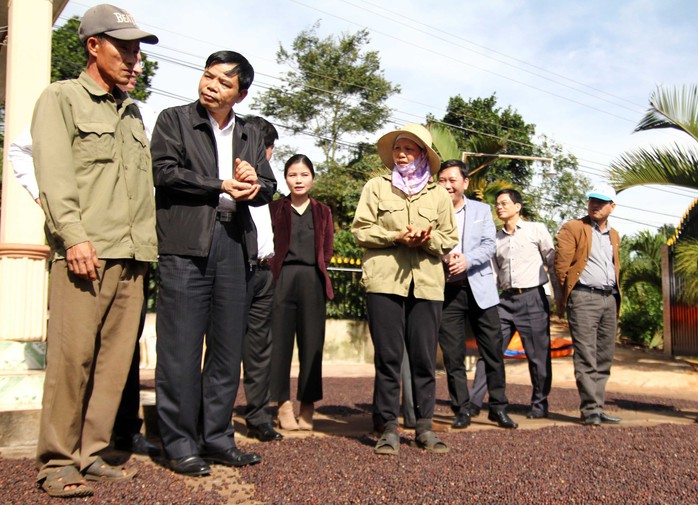 Cà phê Việt yếu từ tổ chức sản xuất đến chế biến - Ảnh 5.