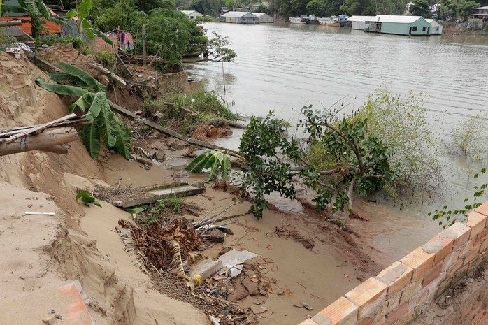 ĐBSCL: Sóng đánh vỡ kè, bay rừng phòng hộ - Ảnh 1.