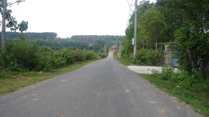 Con đường nhựa dẫn vào khu biệt phủ của ông Phạm Thanh Hà