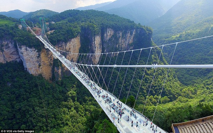 10.000 người chen chúc trên cầu đáy kính vì miễn phí - Ảnh 2. 10.000 người chen chúc trên cầu đáy kính vì miễn phí - Ảnh 2.