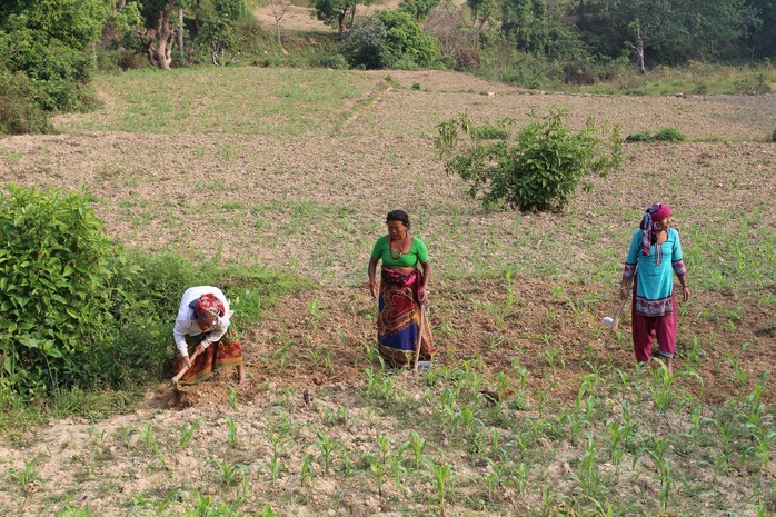 Cuốc bộ và quá giang ở Nepal - Ảnh 15. Cuốc bộ và quá giang ở Nepal - Ảnh 15.