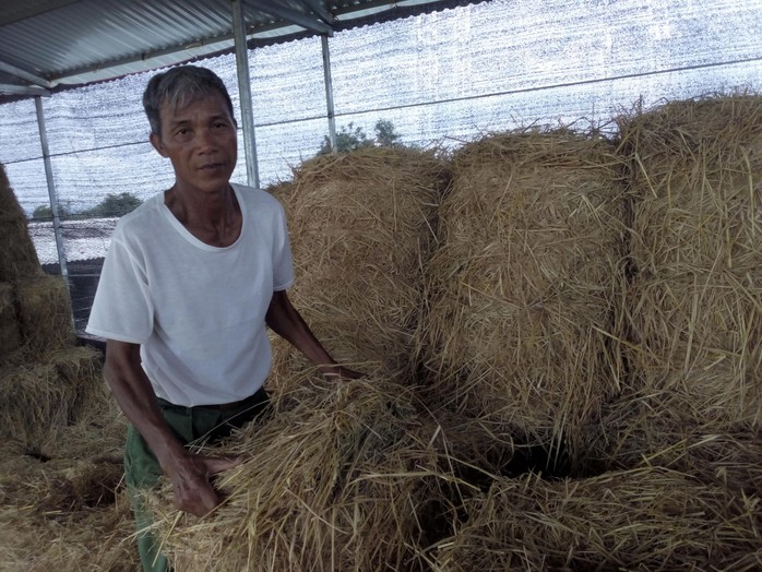 Tự tin trên đồng quê (*): Biến rơm thành tiền - Ảnh 1.