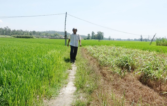 Đường không làm nhưng vẫn nghiệm thu - Ảnh 1.