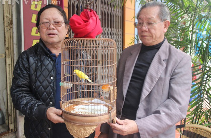 
Chủ tịch Hội chim Yến Hà Nội Vũ Xuân Quyết (bên trái) và đồng môn nâng niu một chú chim Hoàng Yến có giá gần chục triệu đồng
