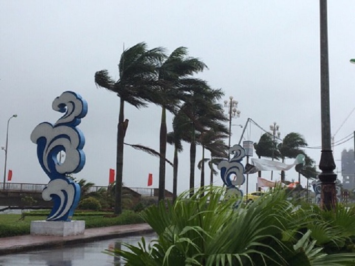 Bão số 4 đổ bộ vào Quảng Bình gây mưa lớn, nhiều nơi bị ngập - Ảnh 1.