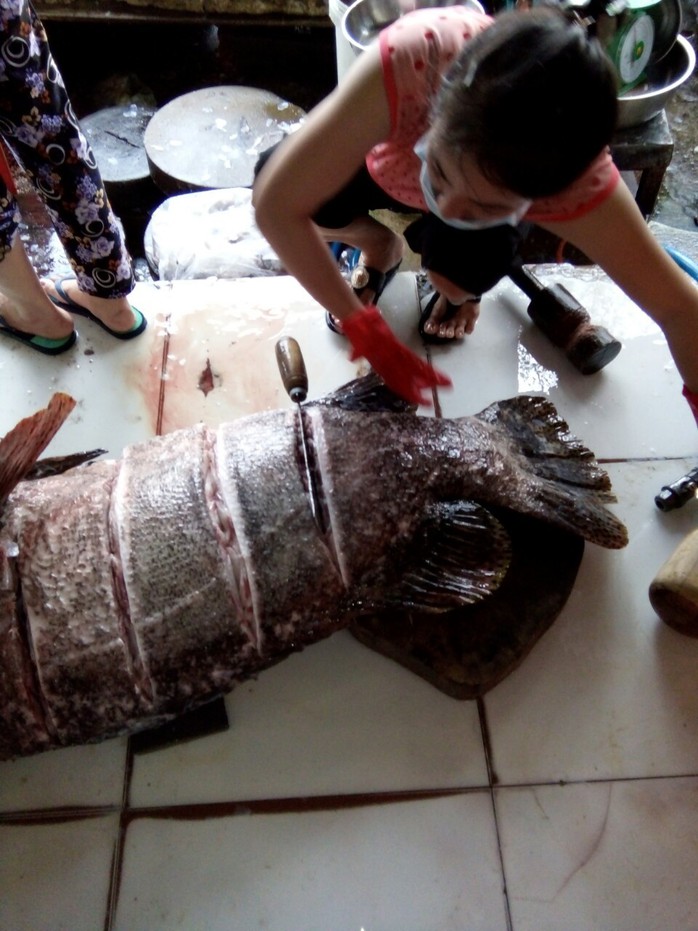 Bắt được cá mú “khủng” nặng 55 kg ở Phú Quốc - Ảnh 2.