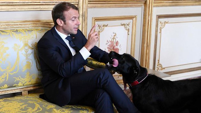 Chó cưng của tổng thống Pháp làm 3 quốc vụ khanh bó tay - Ảnh 2.