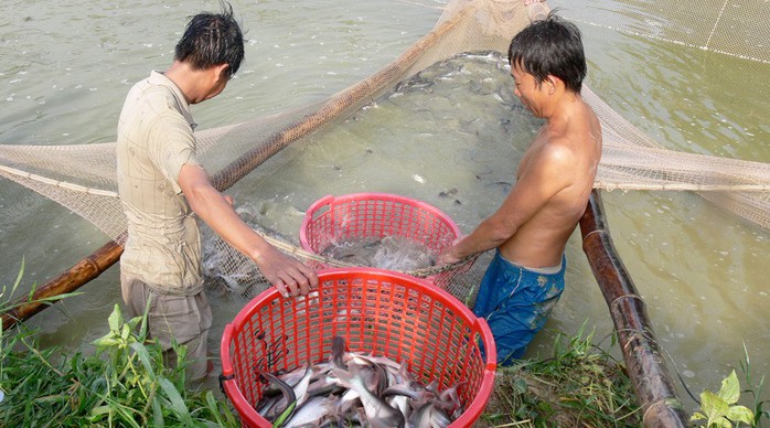 Xuất khẩu thủy sản tăng trưởng bất ngờ - Ảnh 2.