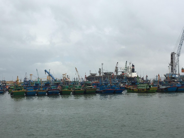 Không đánh bắt xa bờ nhưng nhiều tàu cá ở Bình Định vẫn “bùa” hồ sơ để chiếm đoạt tiền hỗ trợ nhiên liệu từ ngân sách
